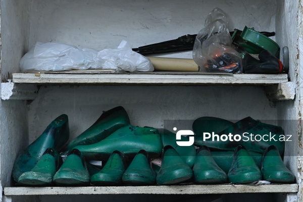 Səbir və diqqət tələb edən pinəçilik sənəti