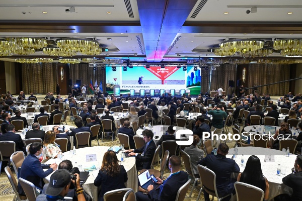 “Şəhərlərin bərpası üçün humanitar minatəmizləmə” mövzusunda keçirilən IV Beynəlxalq Konfrans