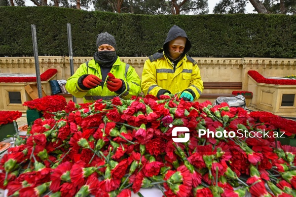 Şəhidlər xiyabanında 20 Yanvar faciəsinin ildönümü ilə bağlı aparılan hazırlıq işləri
