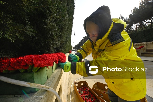 Şəhidlər xiyabanında 20 Yanvar faciəsinin ildönümü ilə bağlı aparılan hazırlıq işləri