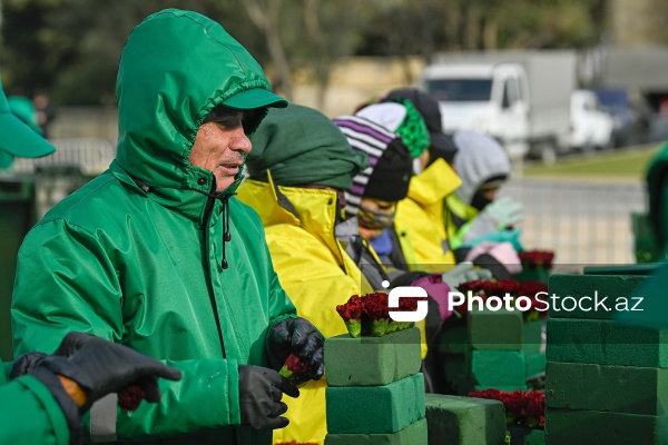 Şəhidlər xiyabanında 20 Yanvar faciəsinin ildönümü ilə bağlı aparılan hazırlıq işləri