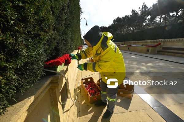 Şəhidlər xiyabanında 20 Yanvar faciəsinin ildönümü ilə bağlı aparılan hazırlıq işləri