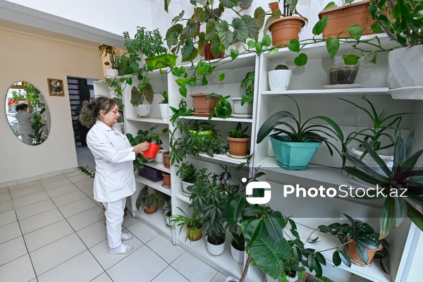Səhiyyə Nazirliyinin Bakı Şəhər Herontoloji Mərkəzi