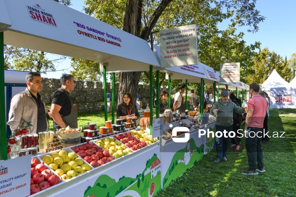 Şəkidə keçirilən "Terra Madre Shaki" qastronomiya festivalı