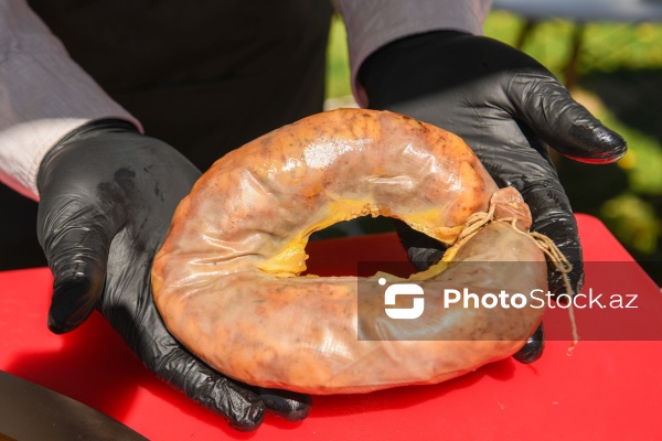Şəkidə keçirilən "Terra Madre Shaki" qastronomiya festivalı