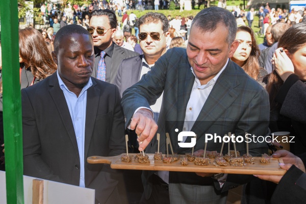 Şəkidə keçirilən "Terra Madre Shaki" qastronomiya festivalı