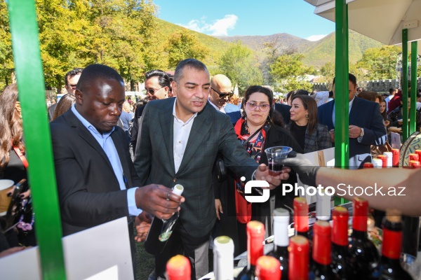 Şəkidə keçirilən "Terra Madre Shaki" qastronomiya festivalı