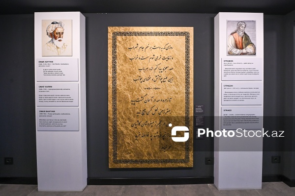 Şəkidə təşkil olunan Üzüm Yığımı Festivalı