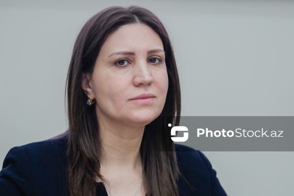 Gülçin Mehdiyeva - İlin yekunlarına dair mətbuat konfransında