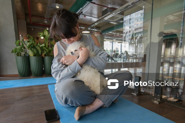 Fiziki və mənəvi rahatlıq təmin edən itlərlə meditasiya