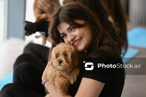 Fiziki və mənəvi rahatlıq təmin edən itlərlə meditasiya
