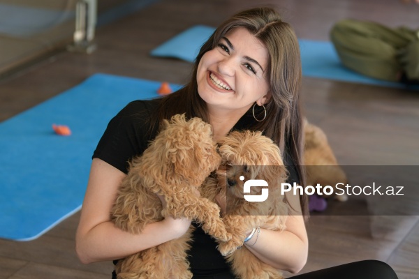 Fiziki və mənəvi rahatlıq təmin edən itlərlə meditasiya