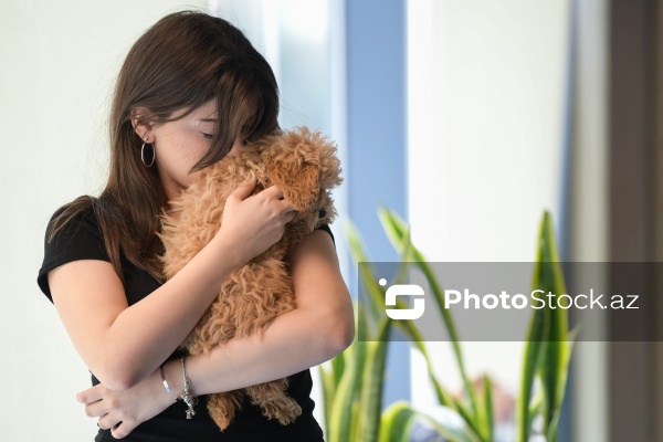 Fiziki və mənəvi rahatlıq təmin edən itlərlə meditasiya