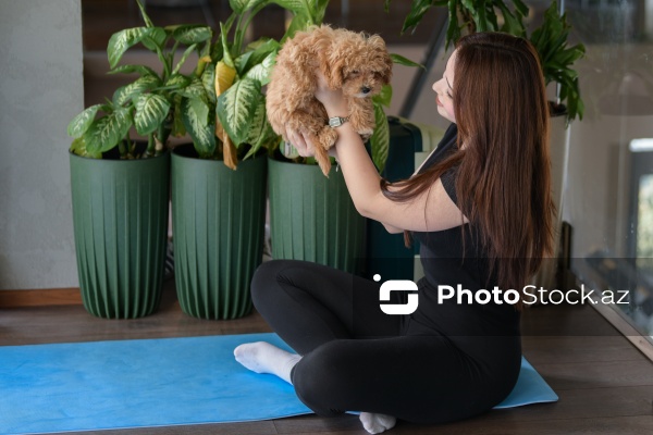 Fiziki və mənəvi rahatlıq təmin edən itlərlə meditasiya