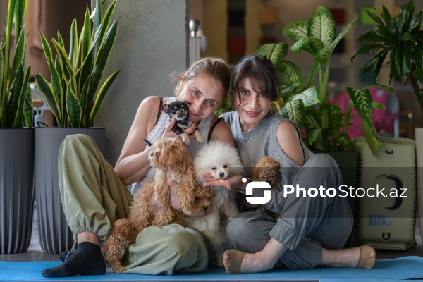 Fiziki və mənəvi rahatlıq təmin edən itlərlə meditasiya