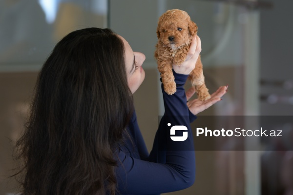 Fiziki və mənəvi rahatlıq təmin edən itlərlə meditasiya