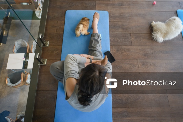 Fiziki və mənəvi rahatlıq təmin edən itlərlə meditasiya