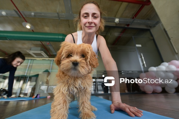 Yana Miroşnikova - Yoqa müəllimi