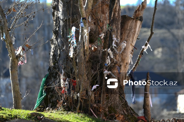 Beş yüz ilə yaxın tarixi olan Şeyx Cüneyd türbəsi