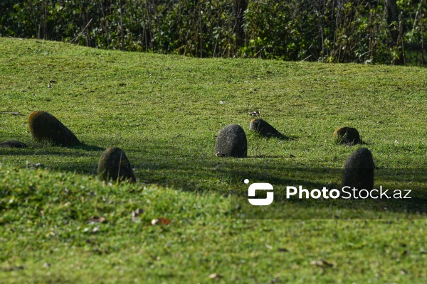 Beş yüz ilə yaxın tarixi olan Şeyx Cüneyd türbəsi