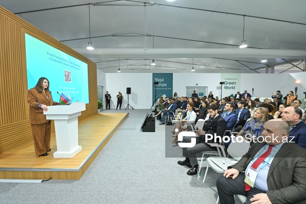 “Sİ və inkişaf edən texnologiyalar: İnnovasiyalar vasitəsi ilə dayanıqlı gələcəyin təmin olunması” mövzusunda tədbir