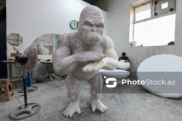 Rəngarəng və fərqli dizaynlı strafor kəsimləri