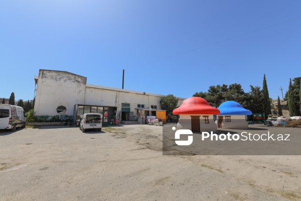 Rəngarəng və fərqli dizaynlı strafor kəsimləri