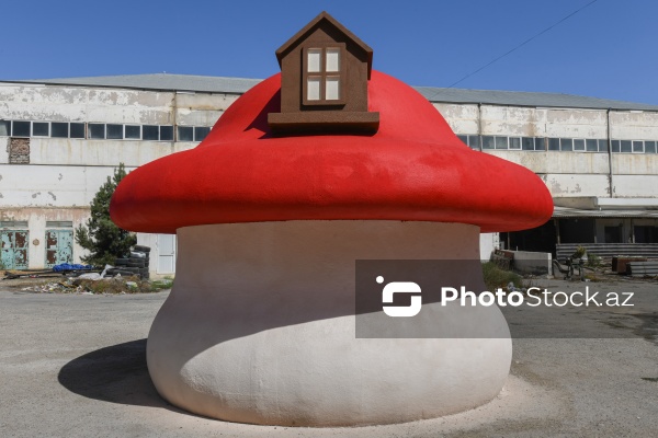 Rəngarəng və fərqli dizaynlı strafor kəsimləri