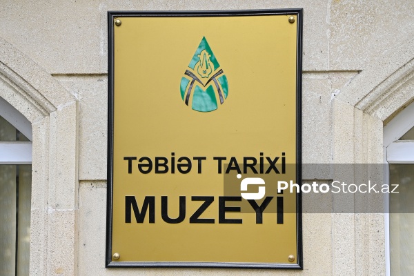 Təbiət Tarixi Muzeyi