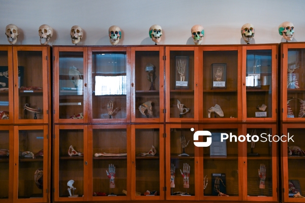 Tibb universitetinin Terapevtik korpusunda anatomiya muzeyi