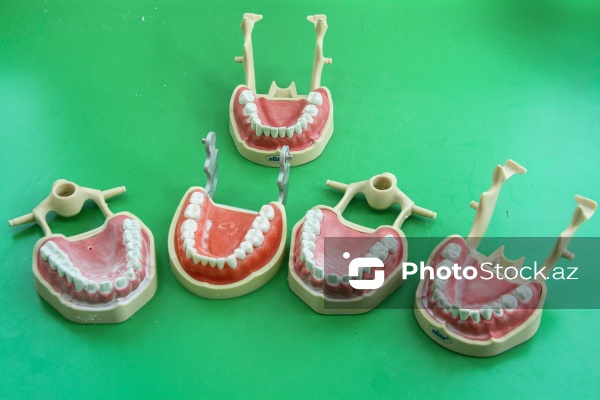 Bir əsrə yaxın yaşı olan Azərbaycan Tibb Universiteti