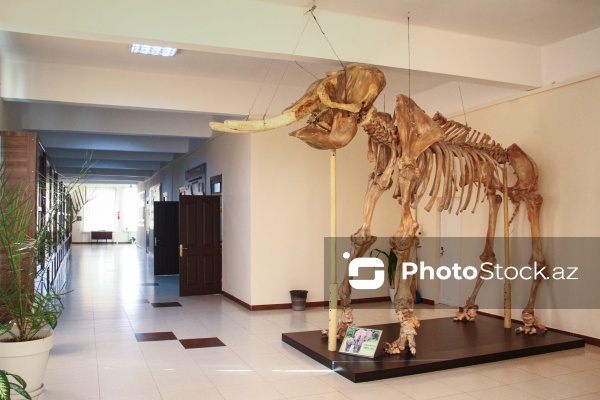 Bir əsrə yaxın yaşı olan Azərbaycan Tibb Universiteti