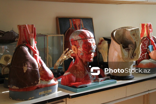 Bir əsrə yaxın yaşı olan Azərbaycan Tibb Universiteti