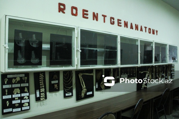 Bir əsrə yaxın yaşı olan Azərbaycan Tibb Universiteti