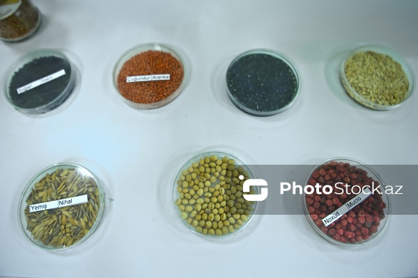 Aqrar Xidmətlər Agentliyinin Mərkəzi Laboratoriyası