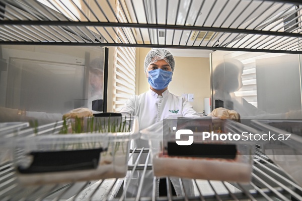 Aqrar Xidmətlər Agentliyinin Mərkəzi Laboratoriyası
