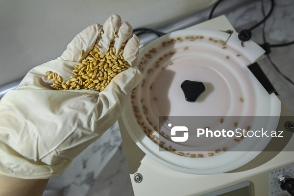 Aqrar Xidmətlər Agentliyinin Mərkəzi Laboratoriyası