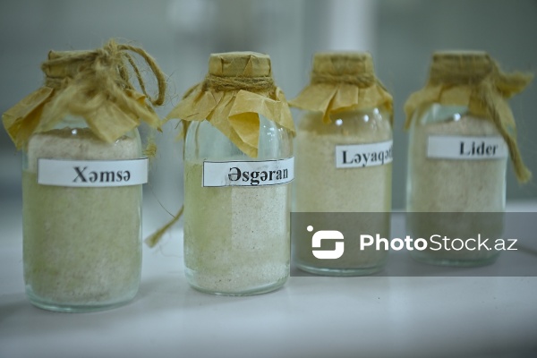 Aqrar Xidmətlər Agentliyinin Mərkəzi Laboratoriyası