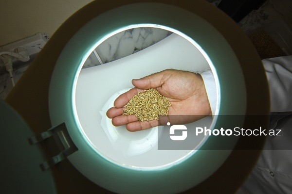 Aqrar Xidmətlər Agentliyinin Mərkəzi Laboratoriyası