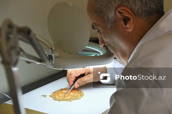 Aqrar Xidmətlər Agentliyinin Mərkəzi Laboratoriyası