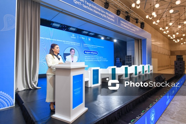 Aygün Əliyeva - QHT-lərə Dövlət Dəstəyi Agentliyinin İcraçı direktoru