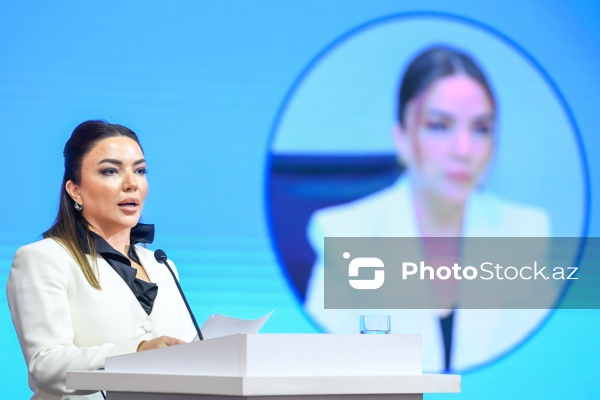 Aygün Əliyeva - QHT-lərə Dövlət Dəstəyi Agentliyinin İcraçı direktoru