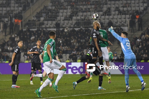 UEFA Çempionlar Liqası: "Qarabağ" - "Nyukasl" oyunu