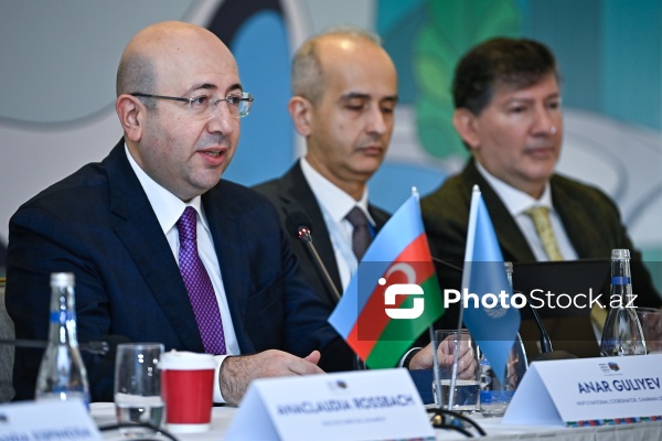 Anar Quliyev - Ümumdünya Şəhərsalma Forumunun 13-cü sessiyasına həsr olunmuş brifinqdə