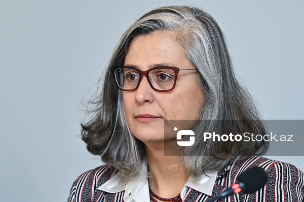 Anaklaudiya Rossbax - Ümumdünya Şəhərsalma Forumunun 13-cü sessiyasına həsr olunmuş brifinqdə