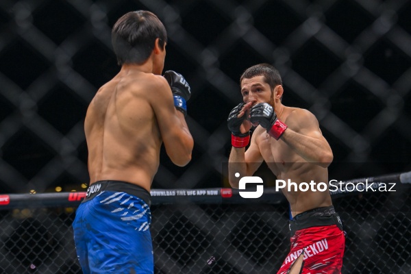 "UFC Fight Night": Taqir Ulanbekov və Maksum Azat döyüşü