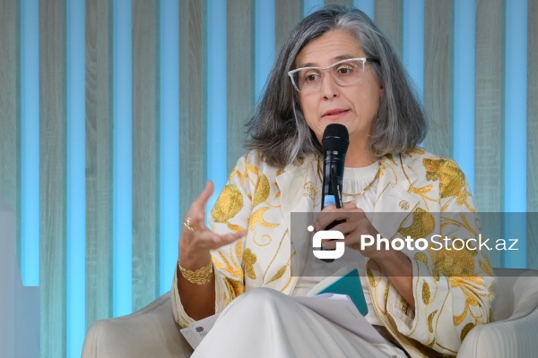 Anaklaudia Rossbax - "Böhranların bərpası və yenidənqurulmasının mərkəzində mənzil təminatı" adlı sessiyada