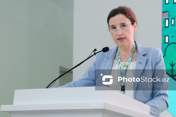 Mariyana Kuyundziç - "Münaqişədən sonra şəhər yenidənqurması: Humanitar mina təmizlənməsinin kritik rolu" adlı sessiyada