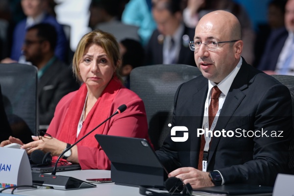 WUF13 çərçivəsində keçirilən nazirlərin dəyirmi masası
