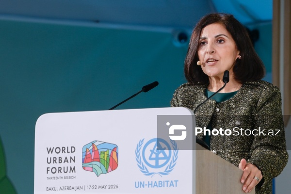 Nazanin Moşiri - "Qeyri-rəsmi yaşayış məntəqələrinin və gecəqonduların transformasiyası: dünya üçün mənzil təminatı" adlı dialoq sessiyasında